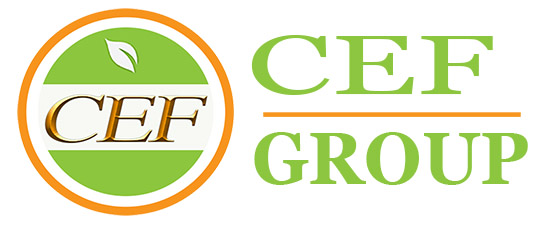 CEF Group